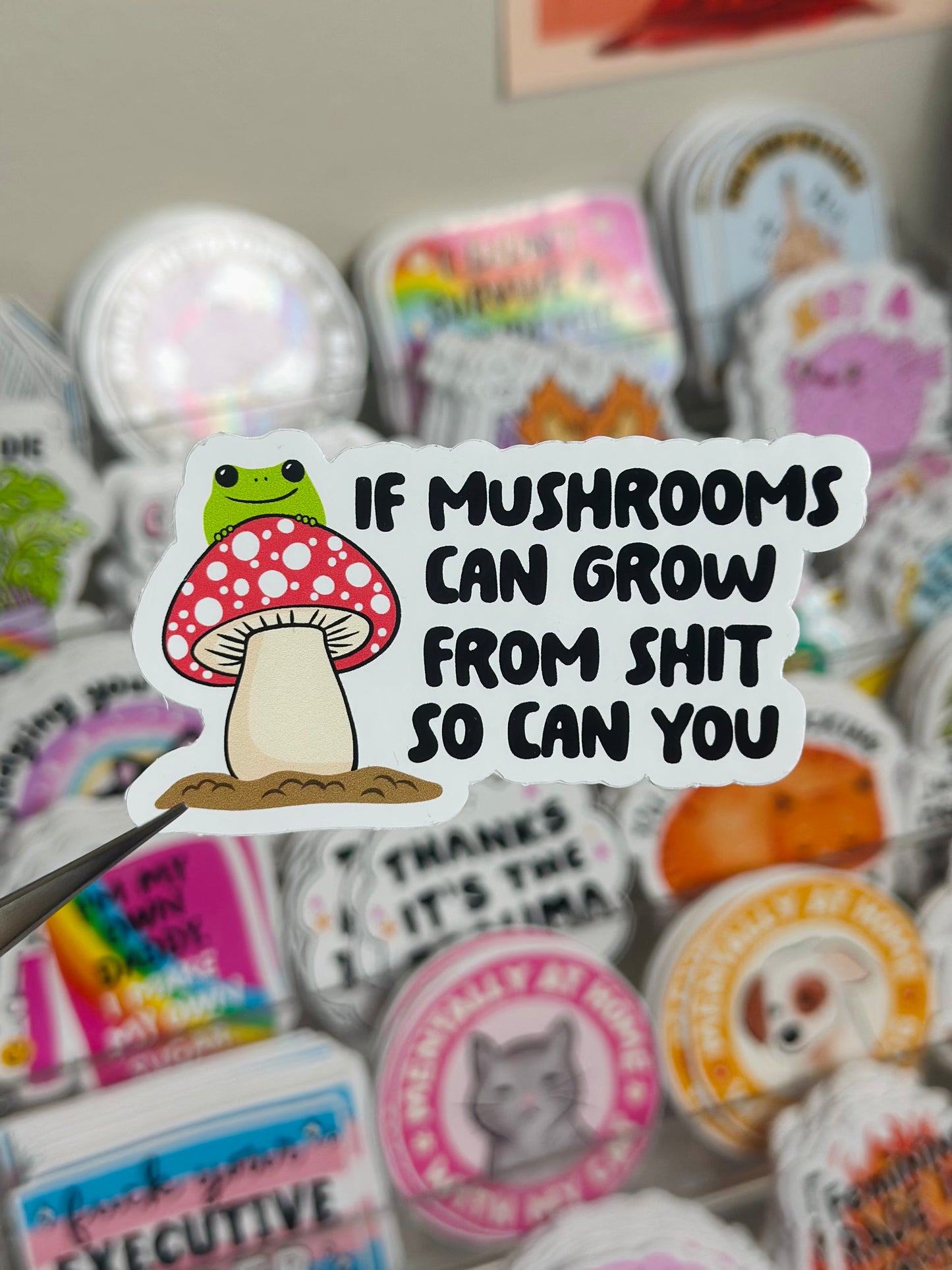 If mushrooms can grow from sh*t, so can you