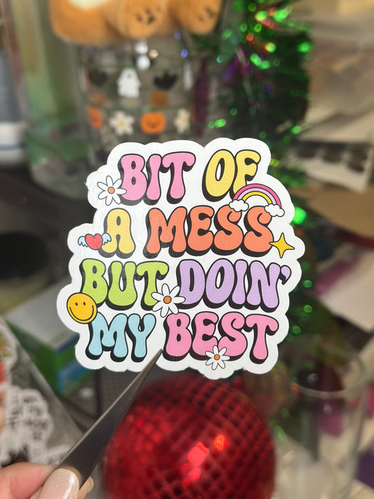 Bit of a Mess But Doing My Best