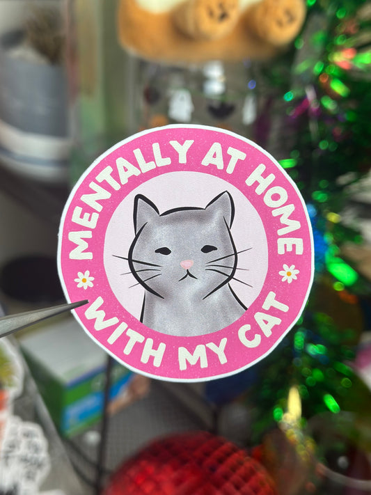 Mentally at home w/ my cat