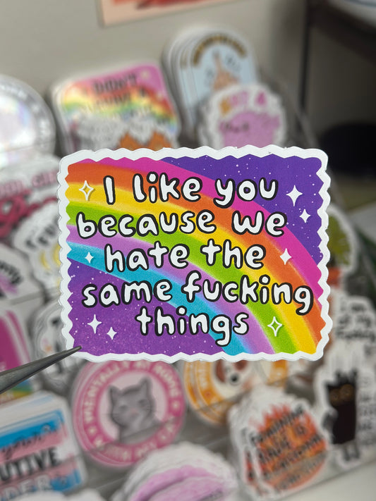 I like you because we hate the same f*cking things